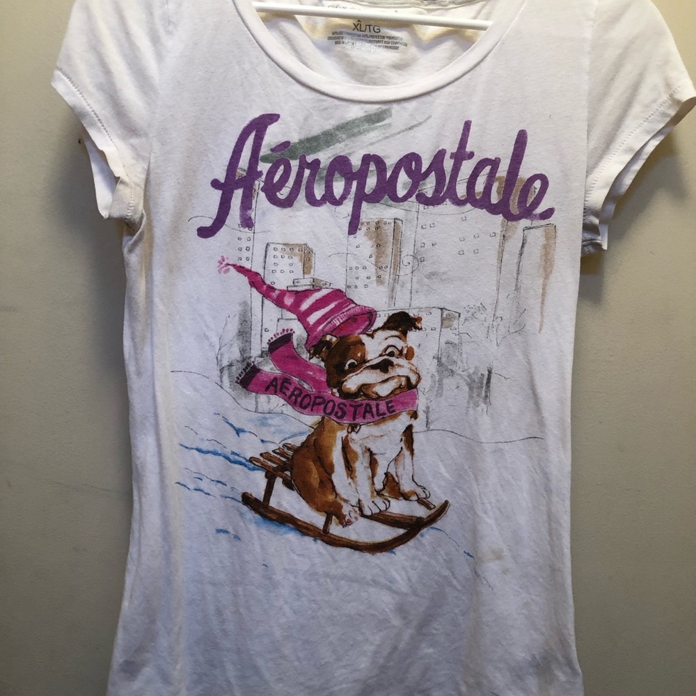 Aero tee shirt with dog in winter on sled